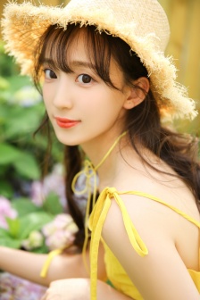 虎胆龙威3